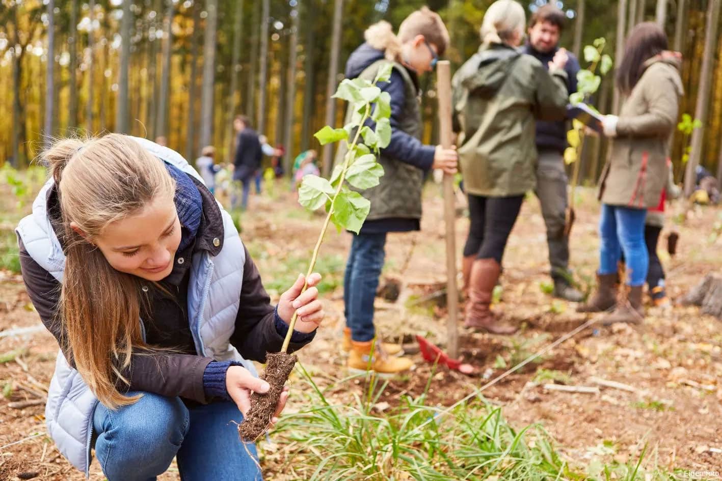 Meisje wat een boompje in het bos plant