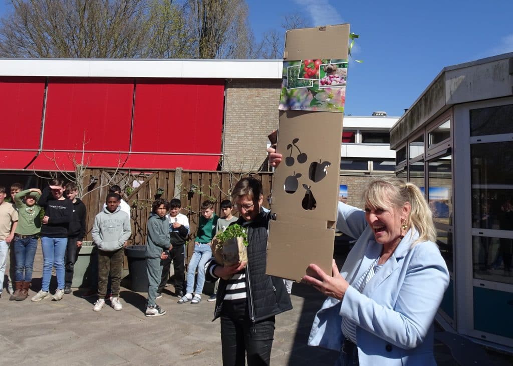 Stichting Steenbreek biedt fruitboom aan bij basisschool vanwege deelname Junior Klimaatcoach