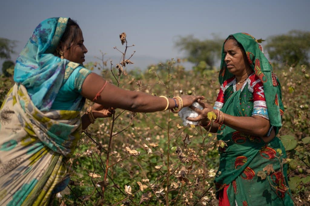 Twee katoen boerinnen in India voor fairtrade