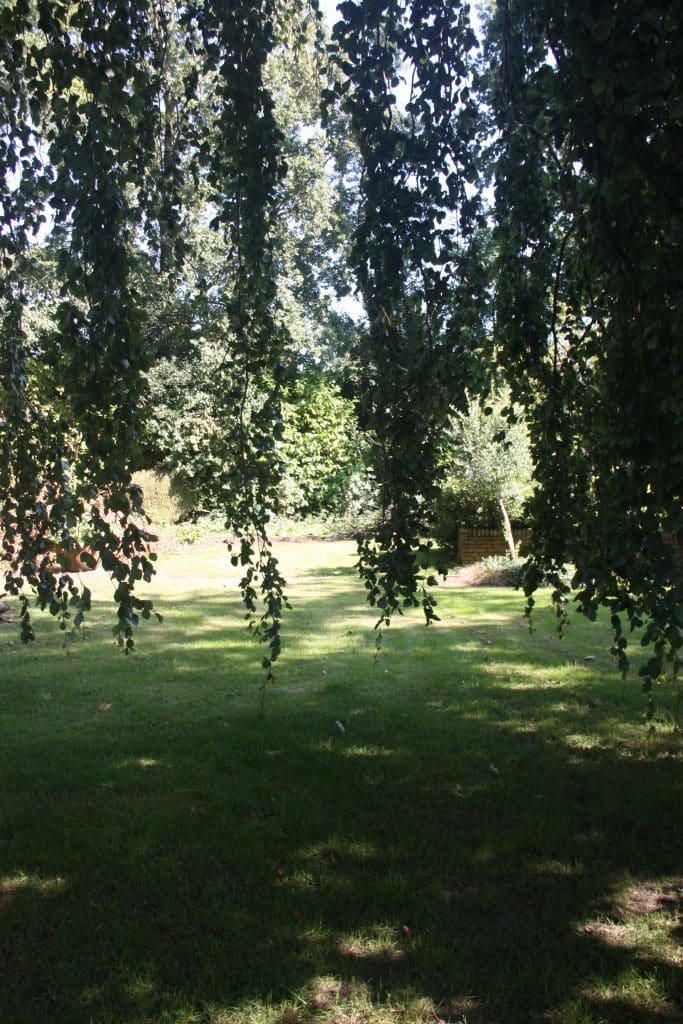 Een groene tuin met veel schaduw van een boom gaat de hitte tegen