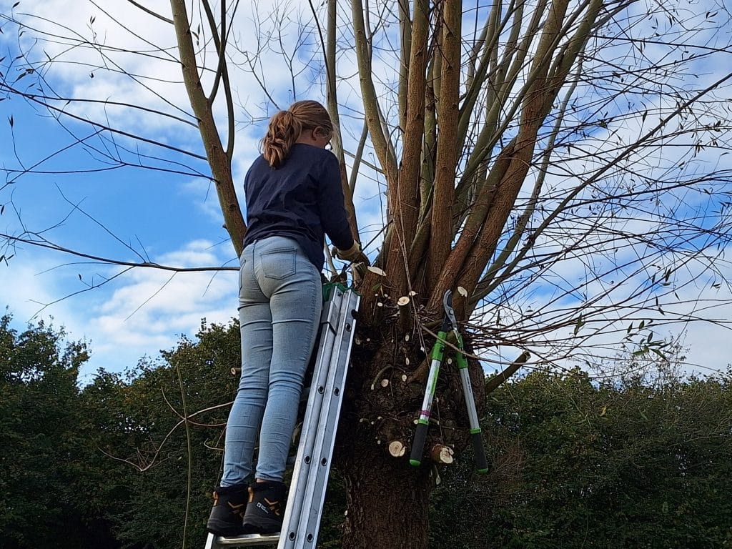 Kind staat op een ladder en helpt mee bij de Natuurwerkdag om takken te zagen