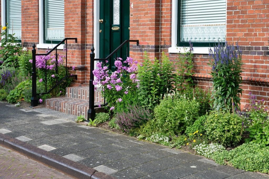 Vaste planten in een geveltuin