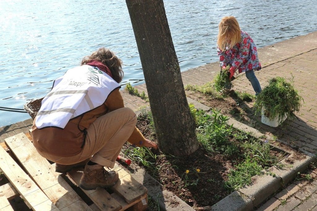 Vrouw en kind die plantjes planten onder een boom