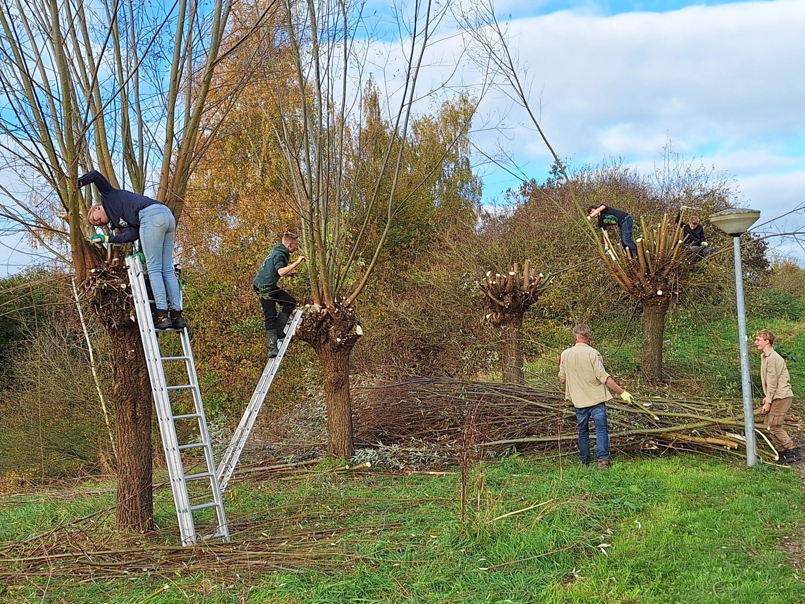 Kinderen helpen mee aan het onderhouden van de natuur in Meppel