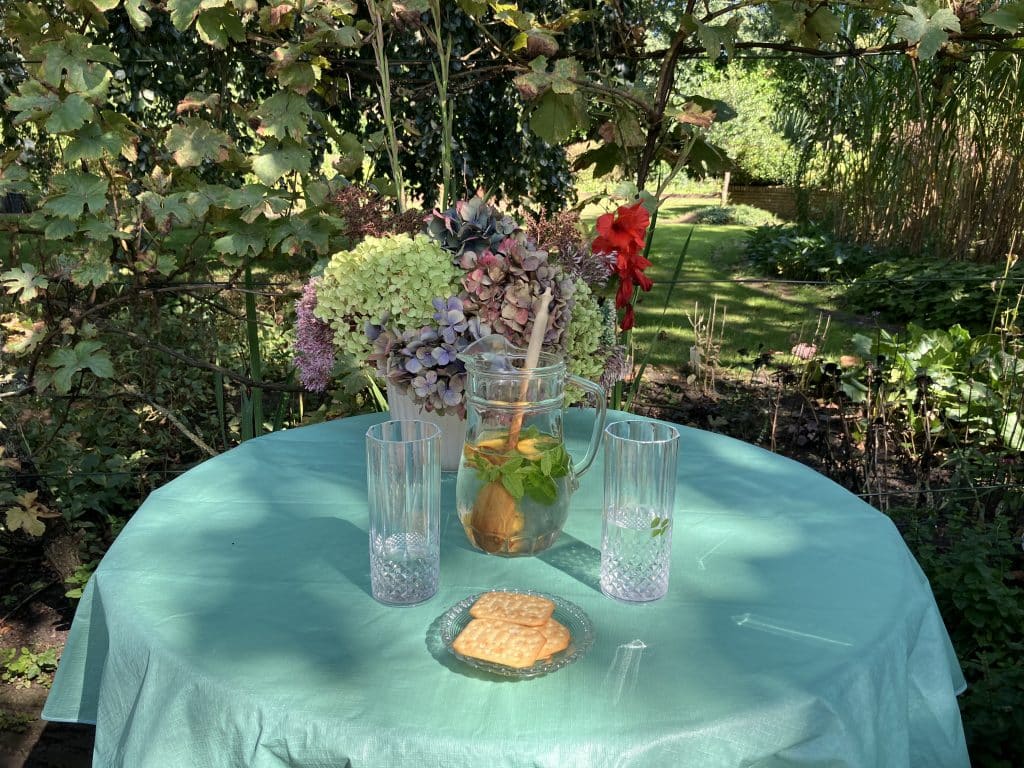 Waterkan met water, vers fruit en muntblaadjes