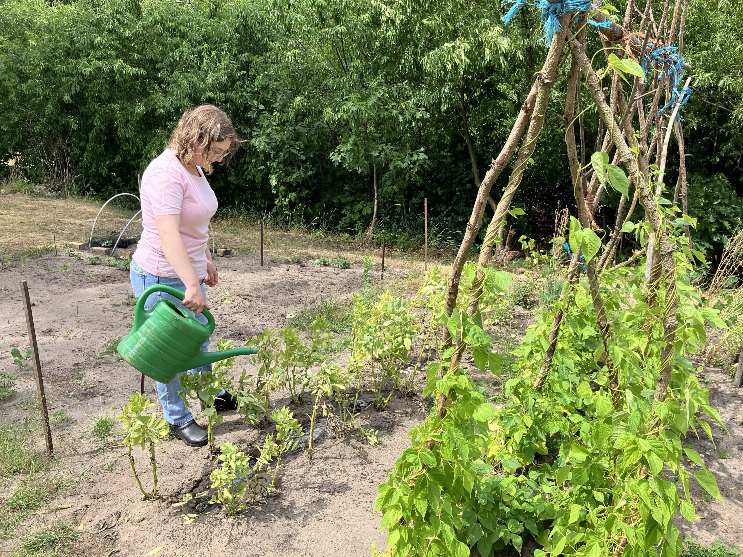 Vrouw die met een gieter plantjes water geeft in de tuin