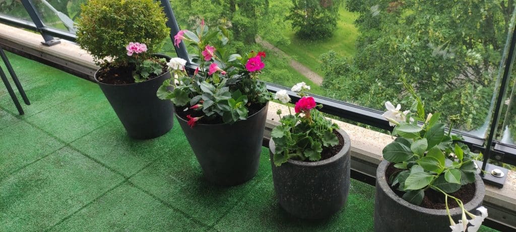 plantjes op een balkon