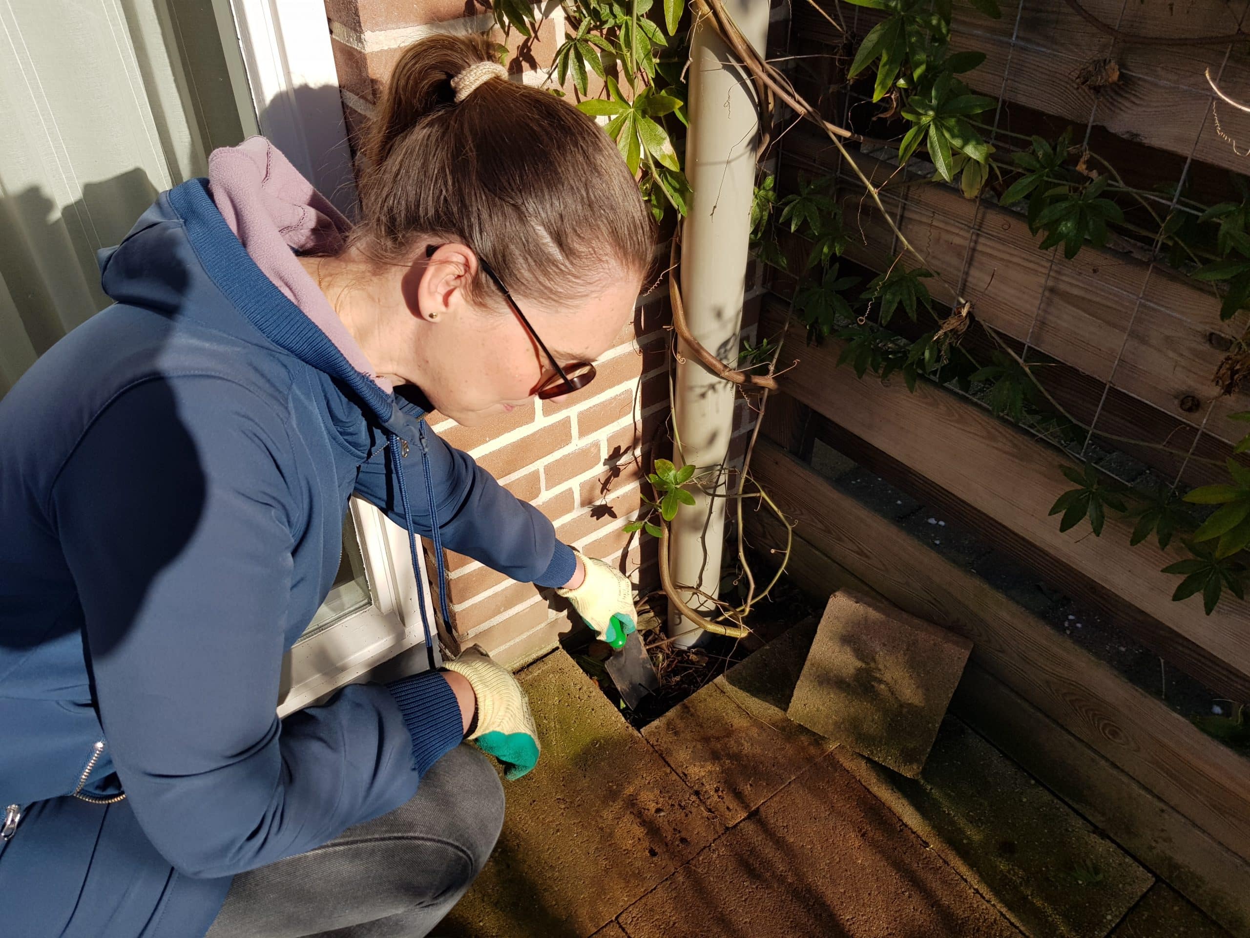 Vrouw die tegels verwijdert en groen plant